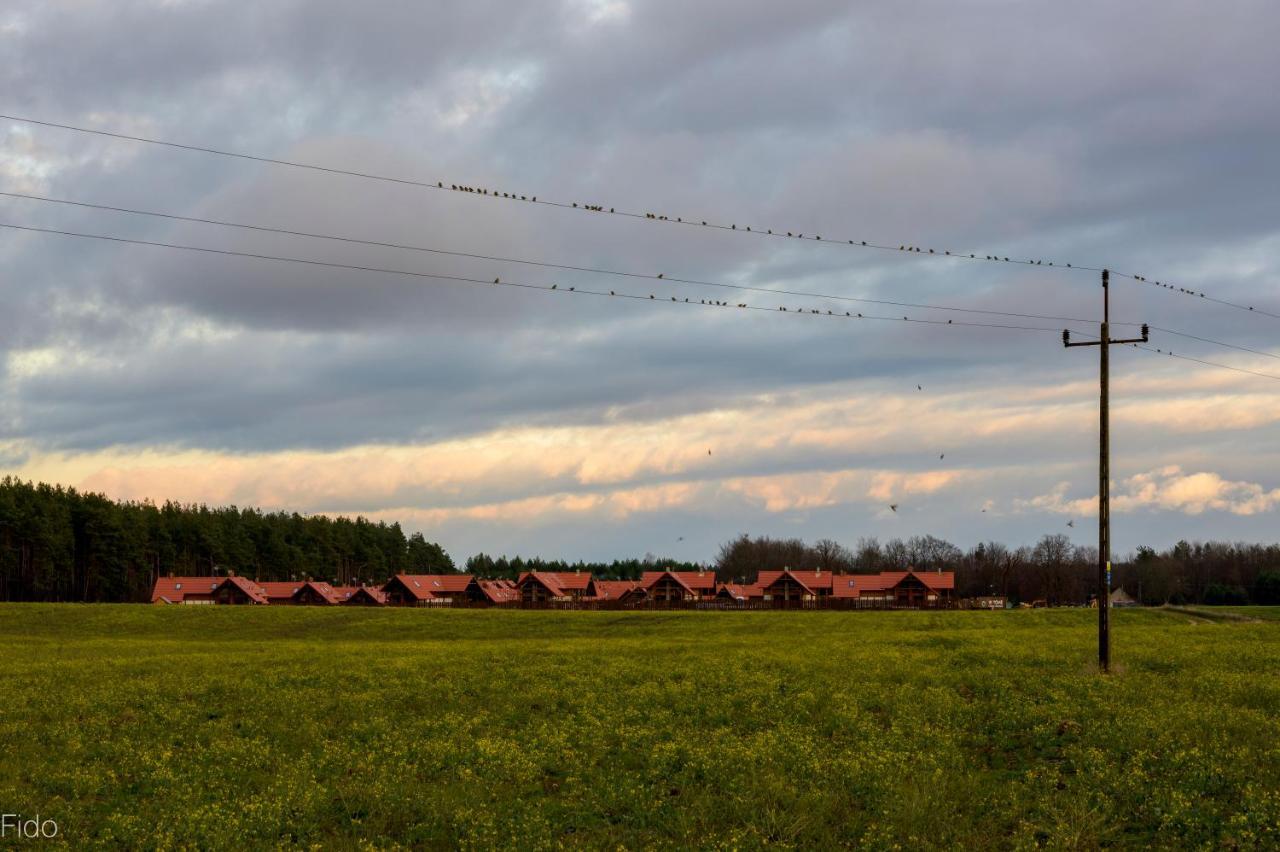 Borowy MlynKaszubska Odskocznia Ostoja Bukowo别墅 外观 照片